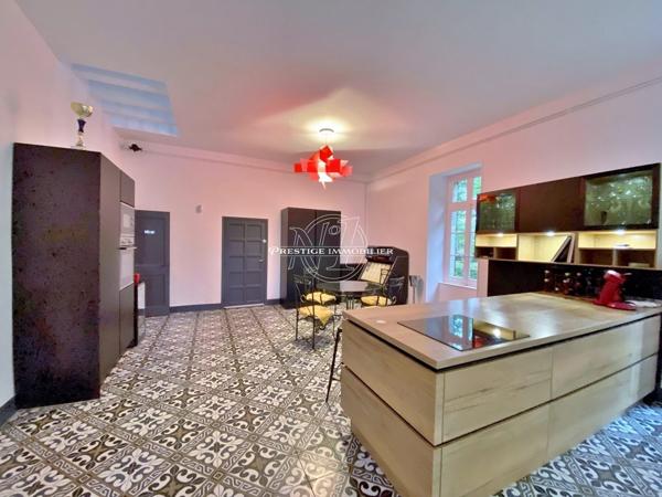 Exclusivite – a vendre demeure de charme du 18eme dans le tarn (81) plein sud