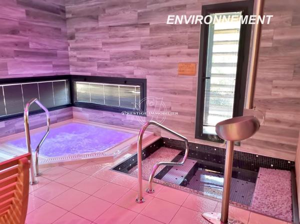 Exclusivite – a vendre demeure de charme du 18eme dans le tarn (81) plein sud