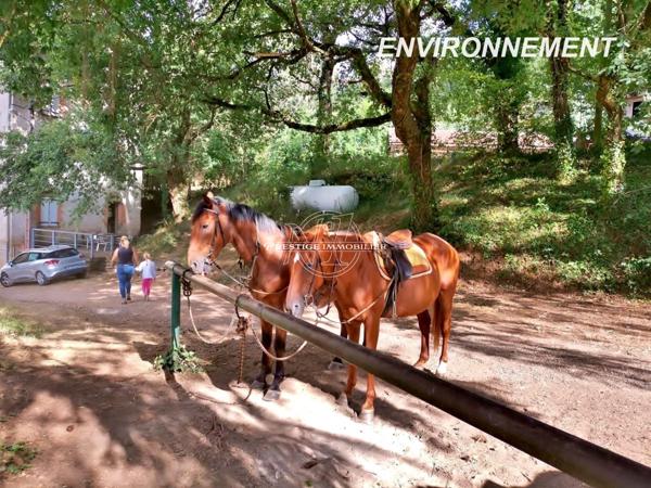 Exclusivite – a vendre demeure de charme du 18eme dans le tarn (81) plein sud