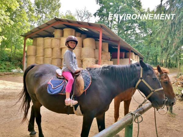 Exclusivite – a vendre demeure de charme du 18eme dans le tarn (81) plein sud