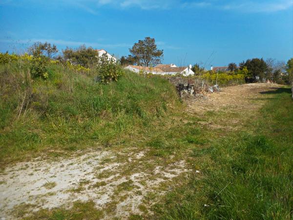 Dpt Charente Maritime (17), Ile d'Oléron, SAINT PIERRE D'OLERON (17), Terrain de 950 m² à vendre