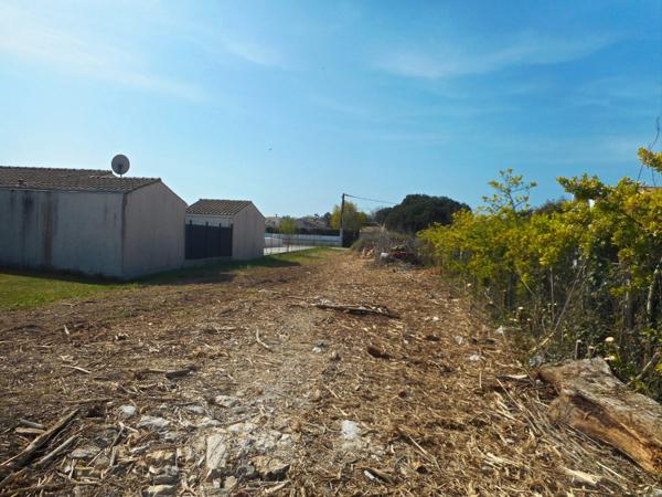 Dpt Charente Maritime (17), Ile d'Oléron, SAINT PIERRE D'OLERON (17), Terrain de 950 m² à vendre