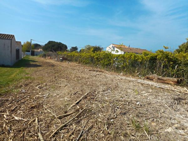 Dpt Charente Maritime (17), Ile d'Oléron, SAINT PIERRE D'OLERON (17), Terrain de 950 m² à vendre