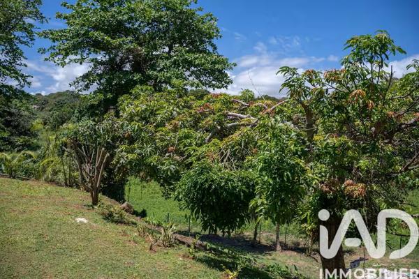 Maison à vendre 6 pièces 121 m² Petit-Bourg