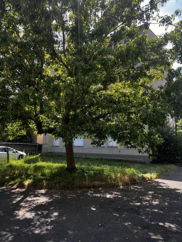 Appartement dans Saint-Maur-des-Fossés
