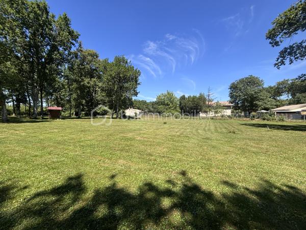 Terrain de 1 300 m²