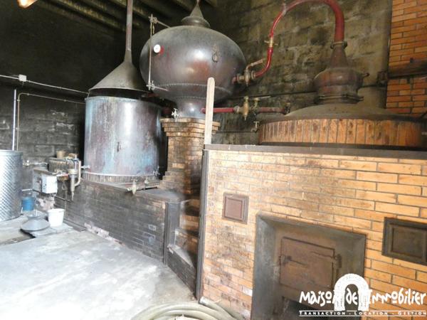 Vente Corps de ferme à moderniser - 4 pièces - 123m² - SEGONZAC