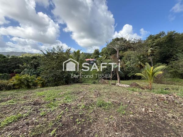 Terrain majoritairement plat - 1033 m2