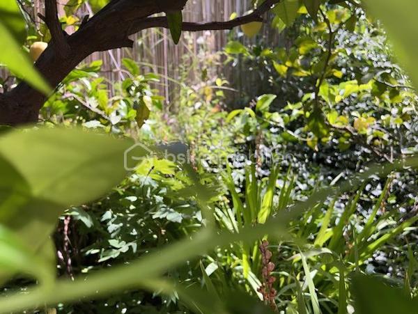 📍 Quartier de l'Aguillon - TOULON

De 590 000 € à 550 000 € !

Découvrez cette propriété pleine de potentiel de 126 m² habitables, divisée aujourd’hui en deux appartements indépendants, offrant de multiples possibilités : projet familial, investissement locatif ou résidence principale avec revenu complémentaire.

Un véritable havre de paix au rez-de-chaussée
Le premier appartement de 36 m² vous séduira par son atmosphère intimiste et apaisante. Il comprend :

✨ Un salon chaleureux avec tous les branchement nécessaires à l'arrivée d'une cuisine à votre goût !
✨ Une chambre en suite avec salle d’eau privative
✨ Un WC séparé
✨ Un accès indépendant par son propre portillon
✨ Un agréable jardin privatif

Le véritable coup de cœur ? Sa vue directe sur une charmante mare agrémentée de poissons rouges, au cœur d’un espace arboré et zen. Un cadre rare invitant à la détente et à la sérénité.

Un appartement lumineux et spacieux à l’étage
Le second logement de 90 m² offre de beaux volumes et une luminosité remarquable :

✨ Trois belles chambres
✨ Un vaste salon/salle à manger avec cheminée
✨ De grandes ouvertures laissant entrer généreusement la lumière naturelle
✨ Une belle hauteur sous plafond
✨ Une salle de bains avec baignoire
✨ Un WC indépendant
✨ Un placard d’entrée pratique

La cuisine, entièrement repeinte en blanc et baignée de lumière grâce à ses trois fenêtres, est volontairement laissée libre afin que les futurs propriétaires puissent l’aménager selon leurs envies et leur style.

Un potentiel supplémentaire à exploiter
La salle de bains donne accès à des combles sains et isolés bénéficiant d’une hauteur centrale d’environ 1,80 m, offrant de belles perspectives d’aménagement.

La cuisine permet également d’accéder à :

✔ Un garage-atelier de 30 m²
✔ Une laverie
✔ Un local de rangement

Soit près de 48 m² d’espaces annexes supplémentaires.

Un extérieur fonctionnel et recherché
Édifiée sur une parcelle d’environ 600 m², la propriété dispose :

🚗 D’un grand portail motorisé à alimentation solaire
🚗 D’un stationnement intérieur pouvant accueillir jusqu’à 4 véhicules
⚡ D’une prise P17 haute puissance de 4Kw pour véhicule électrique

Chaque appartement bénéficie de son propre accès indépendant.

Un emplacement privilégié
Située dans le très recherché quartier de l'Aguillon, vous profiterez d’un environnement calme tout en restant à quelques minutes seulement du centre-ville et des plages.

☀ Exposition Sud-Ouest idéale pour profiter d’une belle luminosité tout au long de la journée.

Les possibilités sont nombreuses :
🏡 Réunir facilement les deux niveaux pour créer une grande maison familiale.
💰 Louer les deux appartements.
💰 Occuper un logement tout en générant un revenu locatif avec le second.

Une opportunité rare sur le secteur !

📞 Contactez-moi au 07 45 05 29 94 dès maintenant pour organiser une visite et découvrir tout le potentiel de cette propriété !