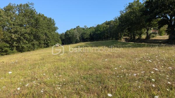 Terrain de 2 956 m²