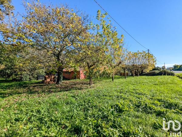 Brasserie à vendre 144 m² Langon