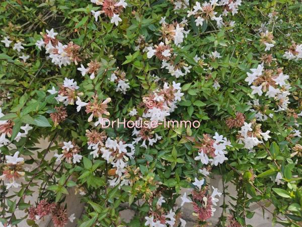 Maison à vendre 11 pièces de 215 m²