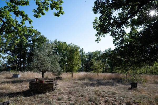 Propriété atypique sur un terrain de 8,5 ha - Piscine possible