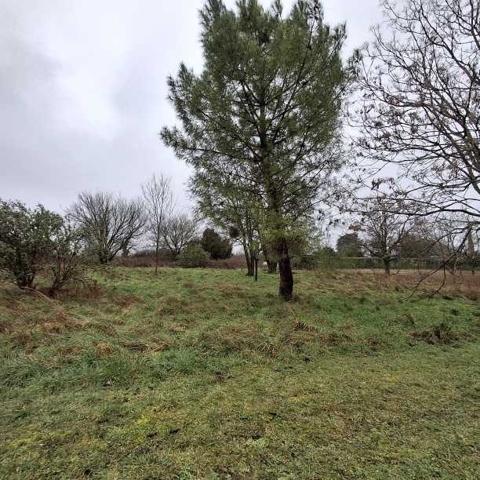 TERRAIN EN ZONE NATURELLE