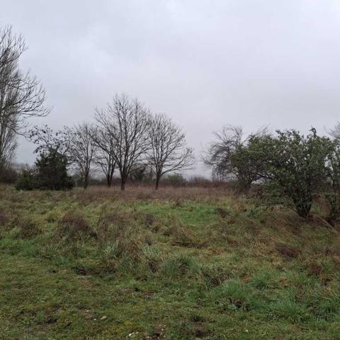 TERRAIN EN ZONE NATURELLE