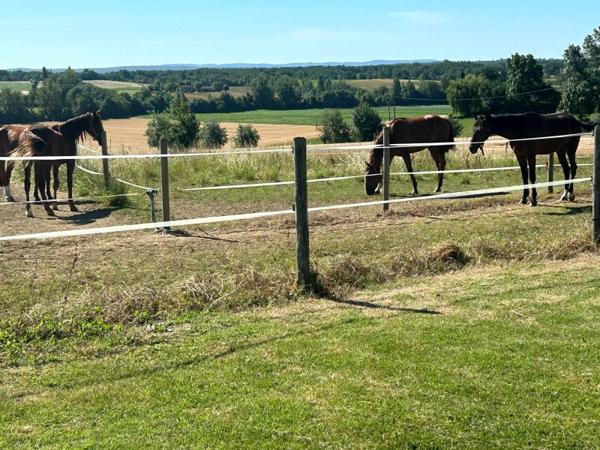 Vente / Propriété à Caussade (82300)