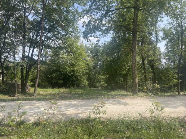 Terrain constructible - Perigueux Terrain boisé constructible à vendre à TRÉLISSAC, près de PÉRIGUEUX. 1.500m²