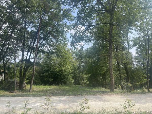 Terrain constructible - Perigueux Terrain boisé constructible à vendre à TRÉLISSAC, près de PÉRIGUEUX. 1.500m²