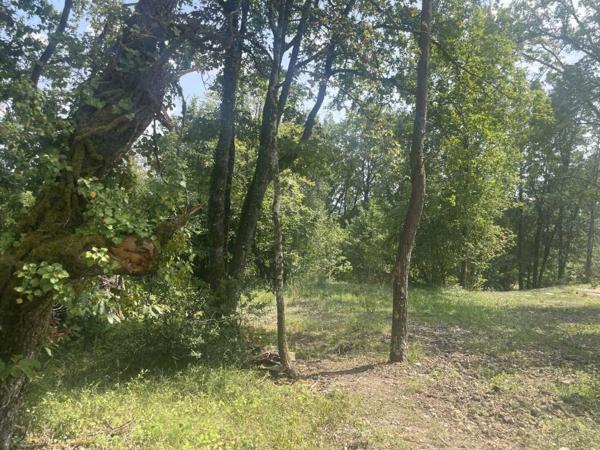 Terrain constructible - Perigueux Terrain boisé constructible à vendre à TRÉLISSAC, près de PÉRIGUEUX. 1.500m²
