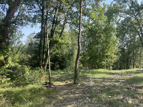 Terrain constructible - Perigueux Terrain boisé constructible à vendre à TRÉLISSAC, près de PÉRIGUEUX. 1.500m²