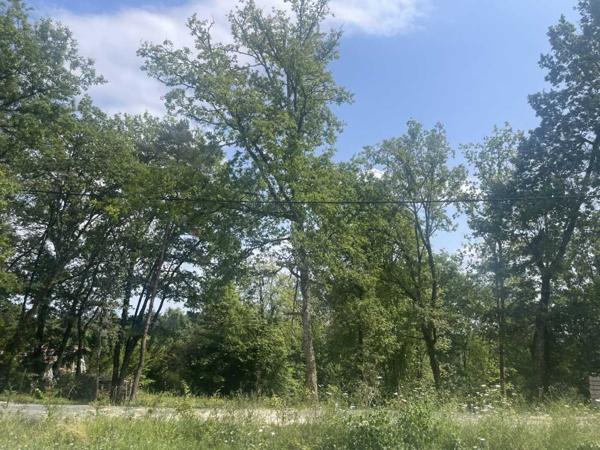 Terrain constructible - Perigueux Terrain boisé constructible à vendre à TRÉLISSAC, près de PÉRIGUEUX. 1.500m²