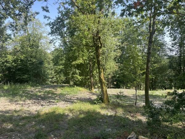 Terrain constructible - Perigueux Terrain boisé constructible à vendre à TRÉLISSAC, près de PÉRIGUEUX. 1.500m²