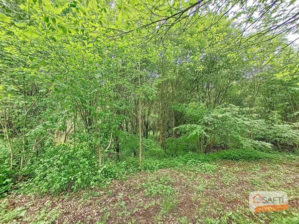 Terrain de loisir sur la commune de Brecé d'un hectare