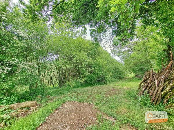 Terrain de loisir sur la commune de Brecé d'un hectare