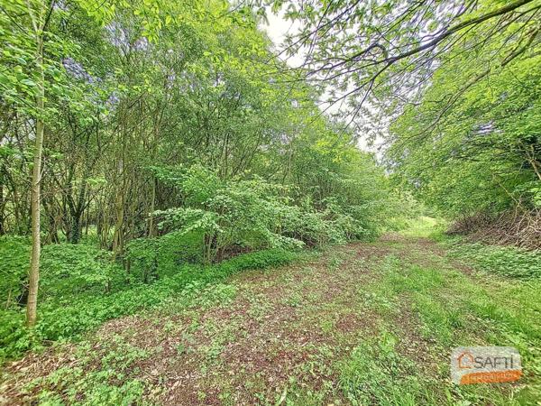 Terrain de loisir sur la commune de Brecé d'un hectare