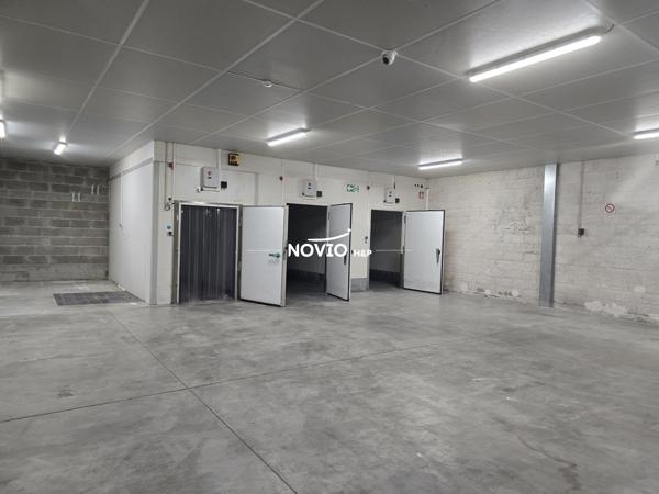 Local professionnel 1670 m²