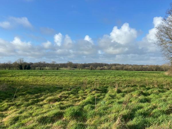 LA CHAPELLE ACHARD 85150 EN RASE CAMPAGNE ADORABLE FERMETTE A RAFRAICHIR AVEC GRANGE ET JARDIN