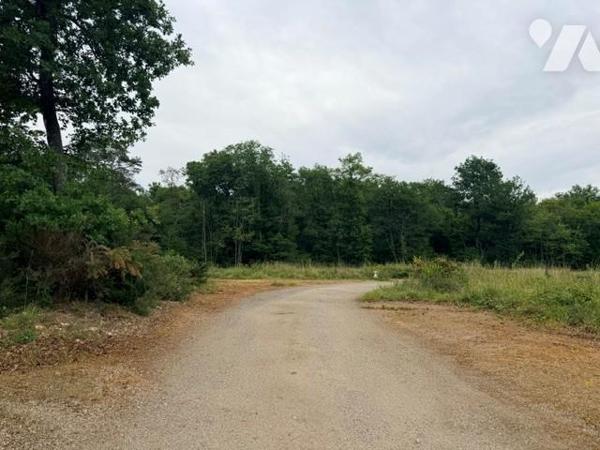 VENTE TERRAIN VERRIE