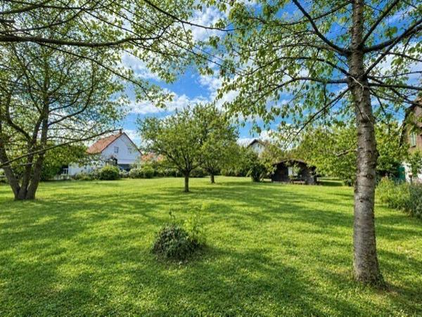 Terrain de construction 14,62 ares à OBERNAI