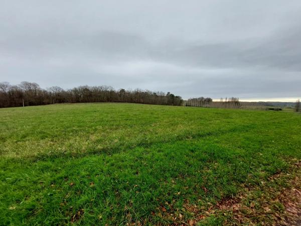Terrain constructible