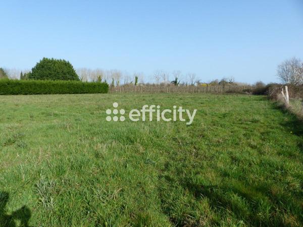 Terrain - 6910 m²