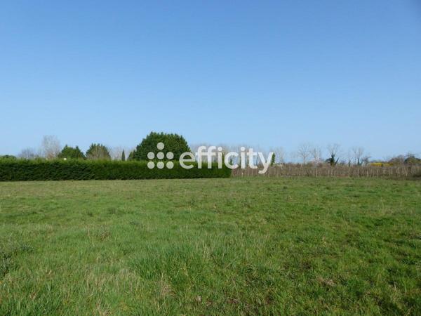 Terrain - 6910 m²