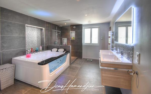 Dpt MIONNAY (01), à vendre maison 175 m² - 4 chambres - Terrain de 1056,00 m² avec piscine