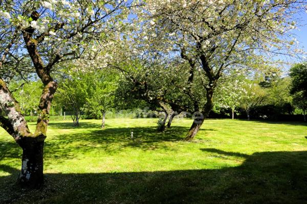 Entre CLOYES sur Le Loir et DROUÉ, Longère à vendre 4 pièces RUAN SUR EGVONNE (41)