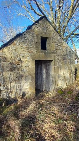 Propriete à vendre à Saint-Saturnin dans le Cantal (15190), ref : FG/2484