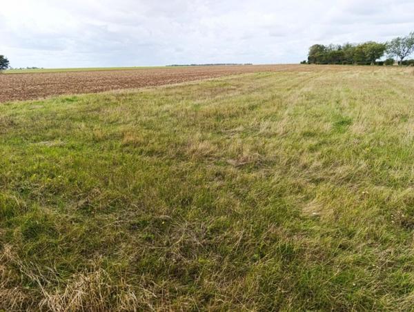 terrain constructible de 1 250 m²