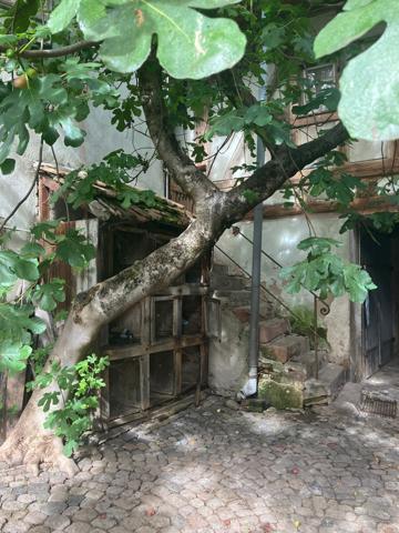 Maison 4 pièces - 85 m² Exclusivité efficity