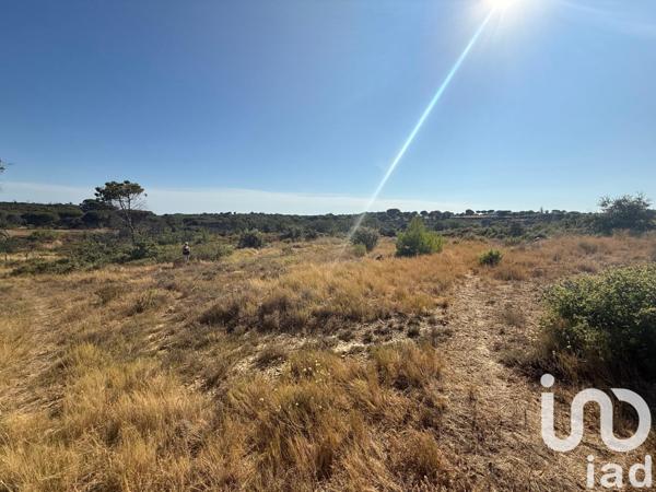 Terrain à vendre 3 570 m² Vauvert