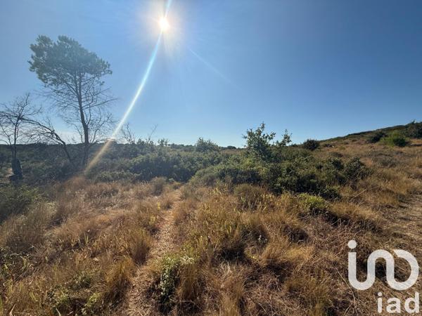 Terrain à vendre 3 570 m² Vauvert