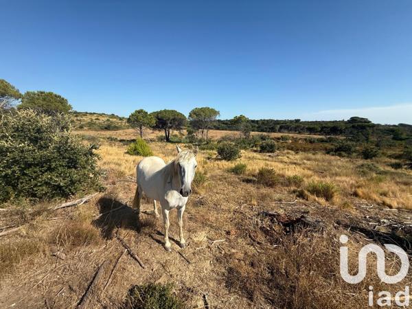 Terrain à vendre 3 570 m² Vauvert