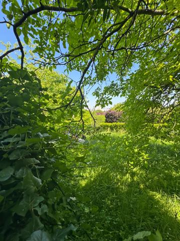 Terrain non constructible 330m²