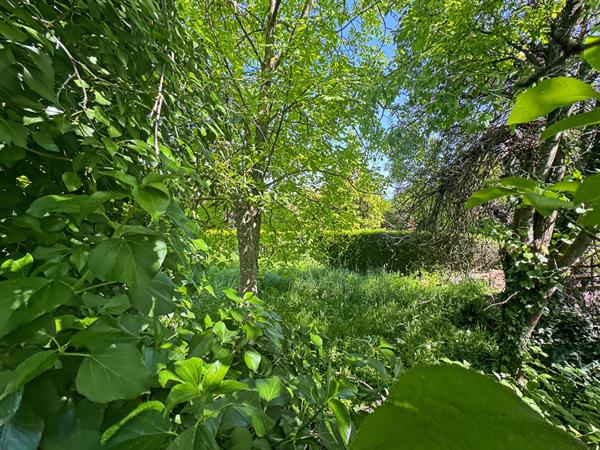 Terrain non constructible 330m²