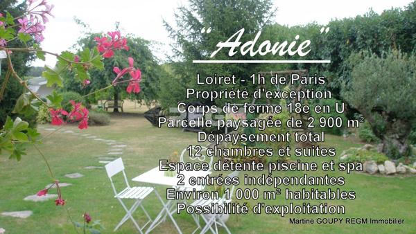 Bazoches-sur-le-Betz (45210) Loiret (45) – "Adonie" - PROPIETE D’EXCEPTION – 1h de PARIS – 1 100 m² Hbt - 12 Chb et suites