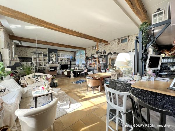 Bazoches-sur-le-Betz (45210) Loiret (45) – "Adonie" - PROPIETE D’EXCEPTION – 1h de PARIS – 1 100 m² Hbt - 12 Chb et suites