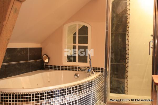 Bazoches-sur-le-Betz (45210) Loiret (45) – "Adonie" - PROPIETE D’EXCEPTION – 1h de PARIS – 1 100 m² Hbt - 12 Chb et suites