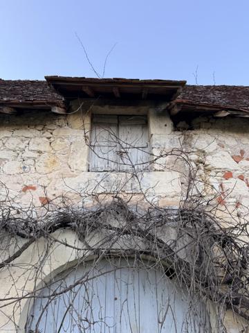Bienvenue au seizième siècle!

Cette ancienne ferme fortifiée est faite pour vous! Certes, rénovations il y a à prévoir mais... Le corps de ferme est entièrement clos! Plus de 1400 m2 de bâtisse à retaper! Et vous pouvez y aller au fur et à mesure puisqu'il y a deux petites maison dans l'enceinte. Un joli tilleul au centre de la cour et des hectares autour de la propriété qui vous serons privés! Ces hectares de terre sont actuellement entretenues par un agriculteur et sont libres de tout fermage. Libre à vous de continuer avec l'agriculteur ou de garder les terres pour un élevage de chevaux ou autre activités agricole, équestres...

L'intérieur est à retaper mais beaucoup de choses sont à garder tel que le sol en pisé, les cheminées, les moulures... 

Un magnifique bâtiment qui ne demande qu'à ouvrir ses portes à un propriétaire qui voudra et saura lui faire reprendre vie comme ils savaient le faire autrefois!
De la pierre et encore de la pierre!!! Du périgord à l'état pur!

Appelez moi vite, je me ferais une joie de vous ouvrir cette demeure qui attend votre coup de coeur!!!